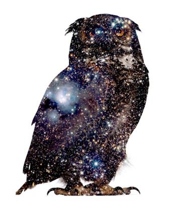 COSMICOWL.jpg