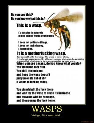 motivational-animal-bug-wasps.jpg